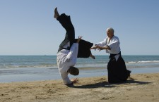 Olika klubbar inom aikido