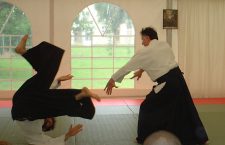 Lektioner i Aikido